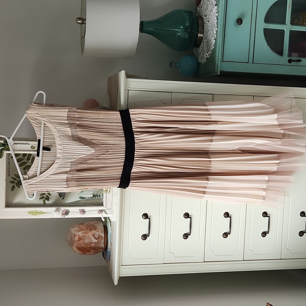 BCBG Colorblock Dress